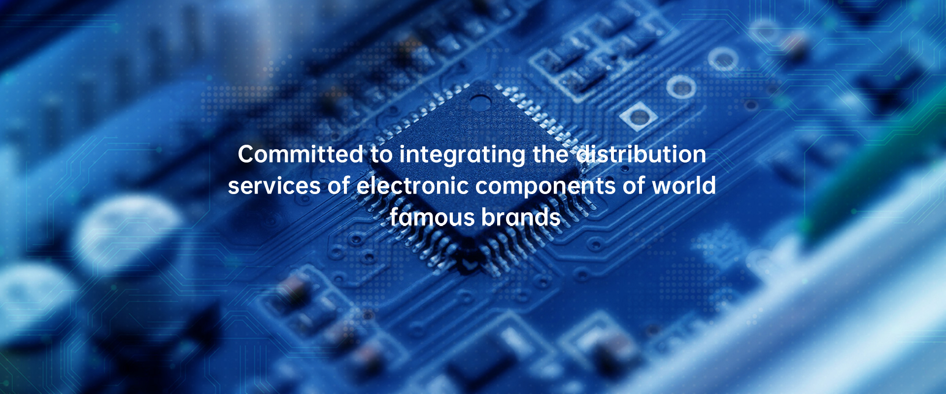 Electronic Components Distributor